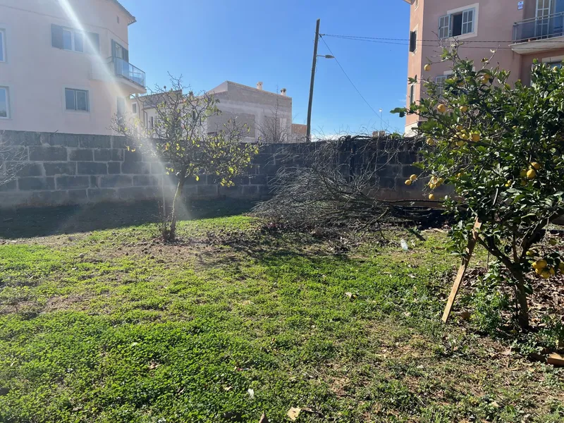 Buildable plot in Campos — photo 1