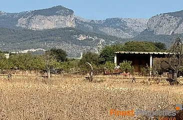 47,000m² plot near Inca for new villa for sale — photo 1