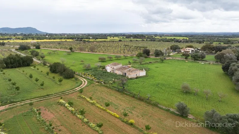 A 47,231 m² plot in Binissalem, Mallorca, with an approved building license, offering panoramic mountain views and proximity to the village center. — photo 8