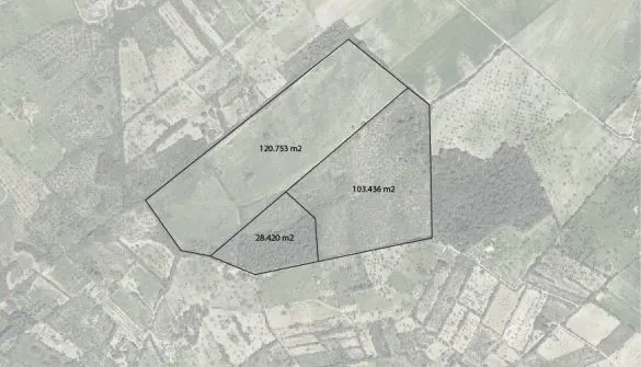 Plot in Petra — photo 1