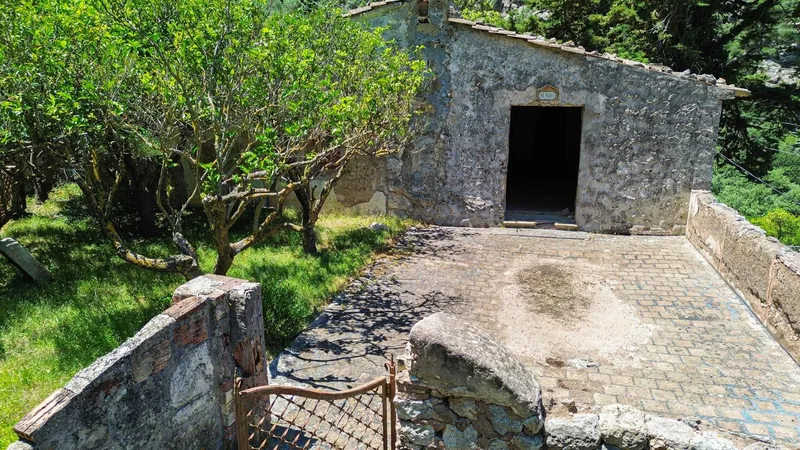 Mallorcan charm and great renovation potential in a privileged setting in Sóller — photo 3