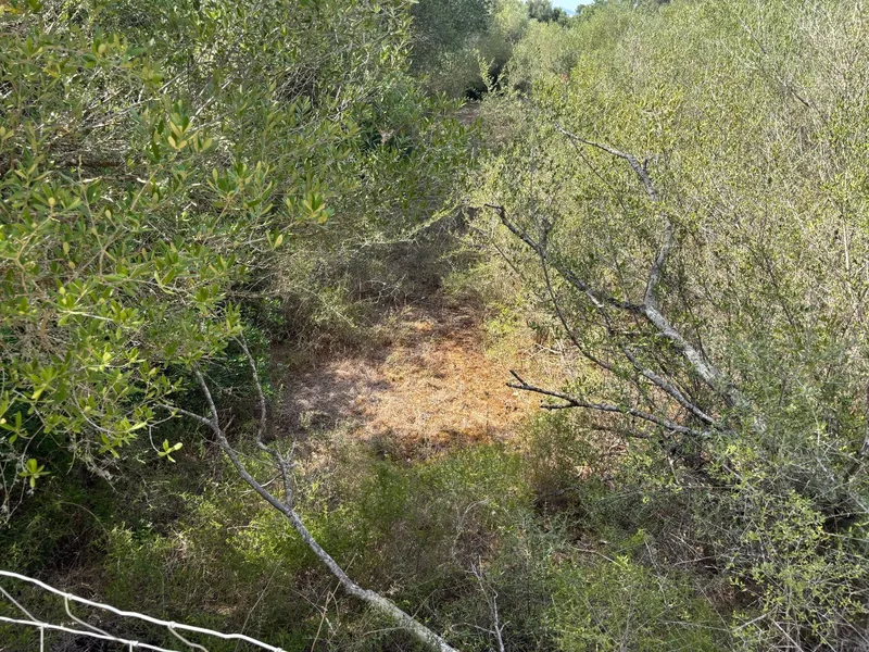 Plot in Felanitx — photo 8