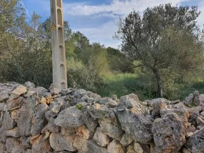 Urban Plot of Land - Marratxí (Sant Marçal), Plot Surface 1307.84 m², Distance to the Sea 9 km, Urbanization — photo 7