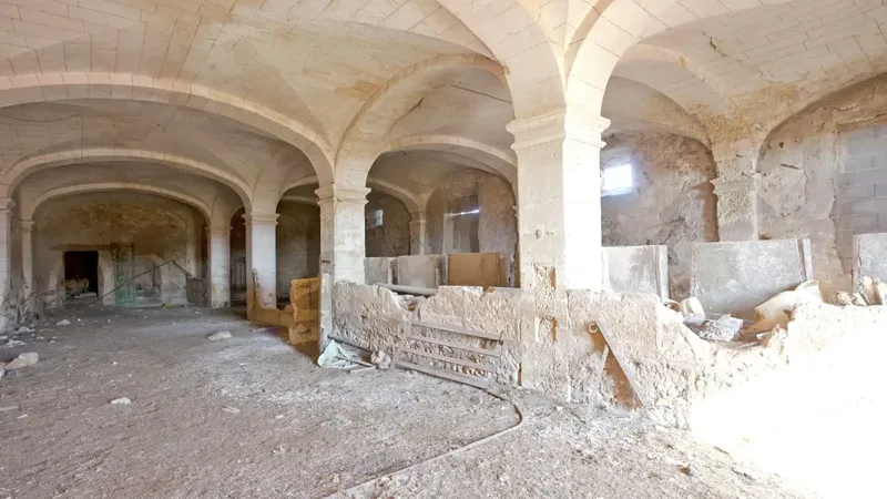 Possibility to convert into agrotourism with 42 places! This over 200-year-old estate in Manacor, with about 160,000 m2 of land — photo 6