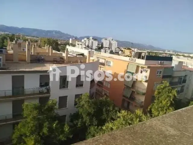 Penthouse in Es Camp Redó — photo 1