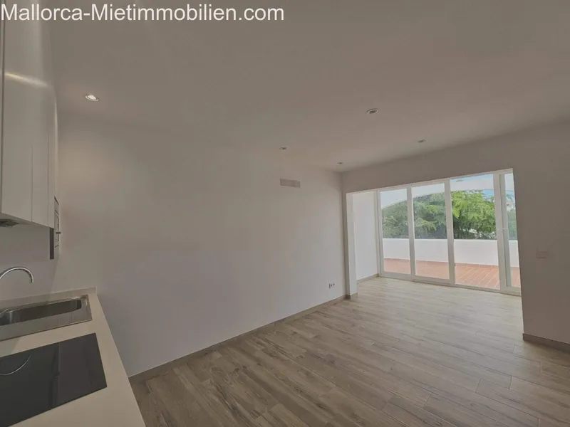 70m² apartment with 2 rooms, bathroom and terrace for rent — photo 4