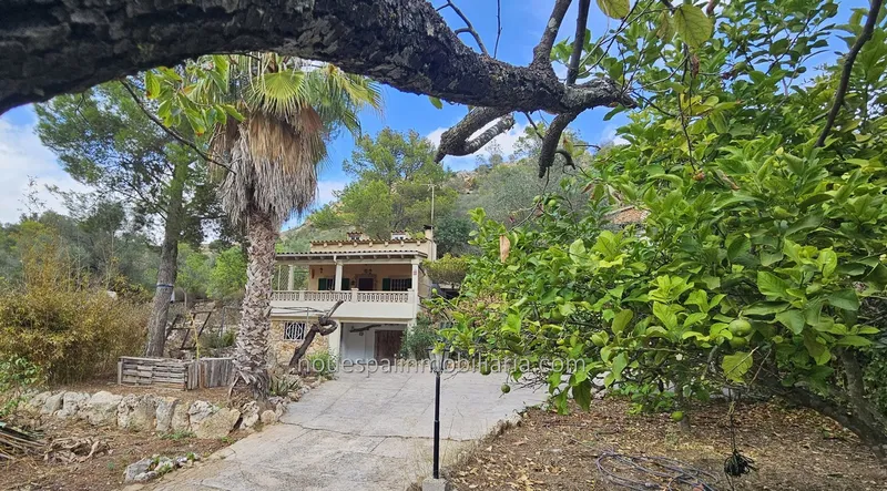 Finca rustica en Ses Coves, Santa Eugenia — photo 5
