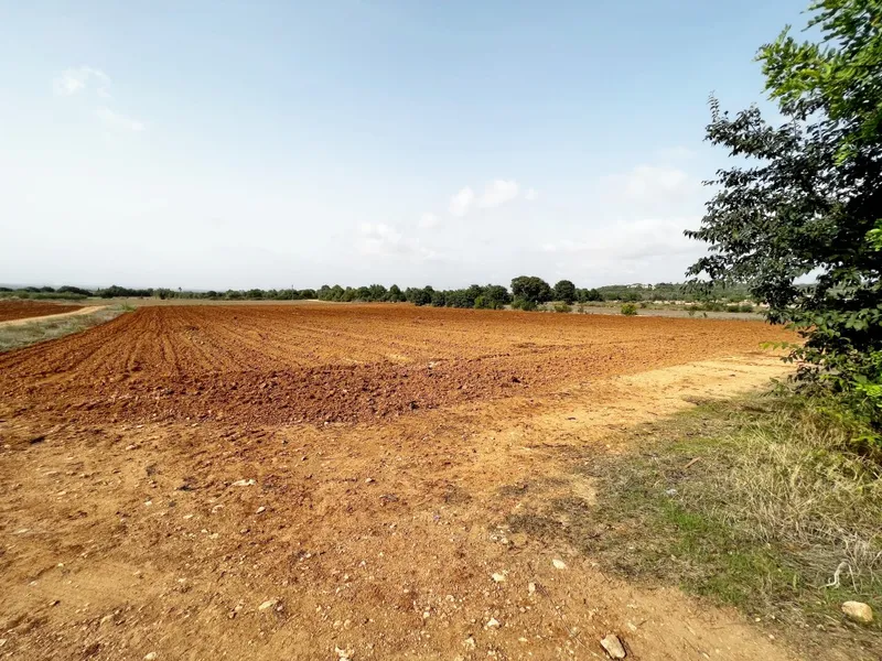 Finca to be rebuilt for sale in Felanitx Pueblo — photo 8