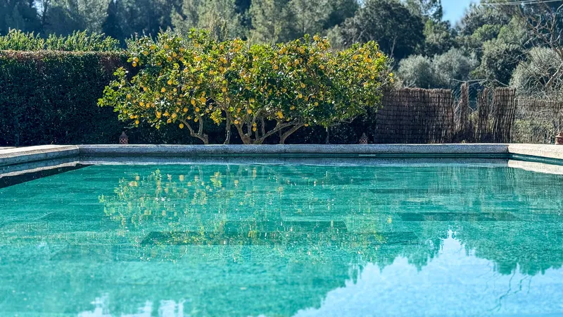Mediterranean finca with panoramic views and guest house — photo 5