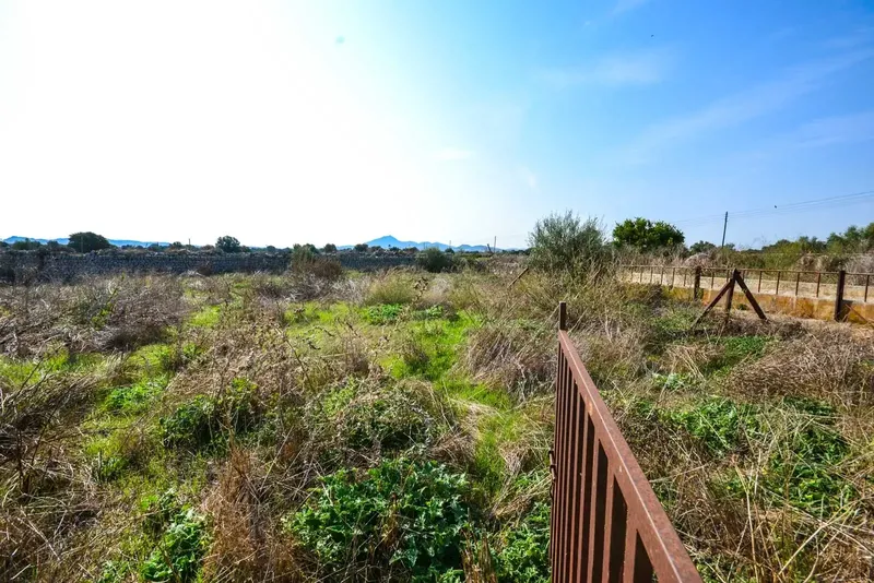 finca in Vilafranca, Vilafranca de Bonany — photo 6