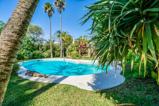 Bonaire, unique villa with large pool, tropical garden and views over Pollensa Bay — photo 3