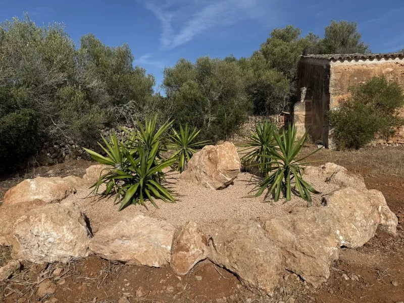 Exclusive move-in ready newly built villa near Llucmajor — photo 11