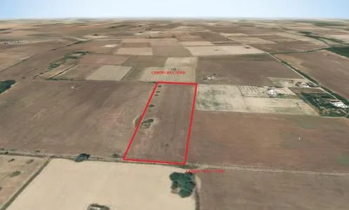 Rustic land - Sineu (Crtra Petra), plot surface 15000m2 — photo 8
