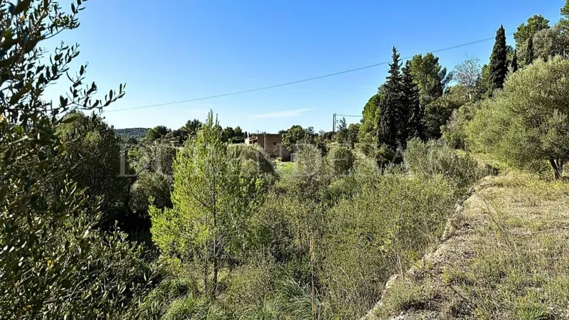 Plot for sale — photo 4