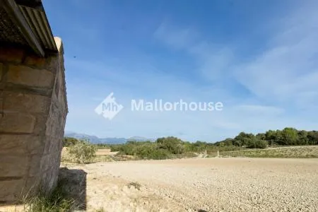 Urbanizable land - Llubí (Llubi), Plot Surface 25600m², Distance to the sea 15 Km. — photo 12