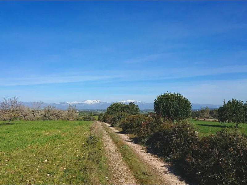 Large Mallorcan country house of 2,000 m² to restore with 55 hectares of land in Algaida — photo 3