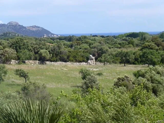Glorious Mallorcan country finca with large estate for sale in Artá, Mallorca — photo 9