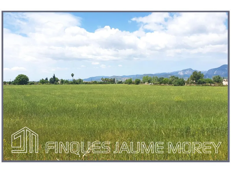 Land — photo 7