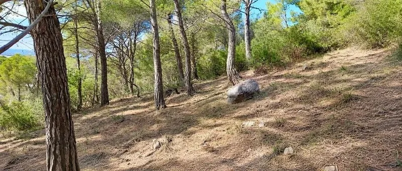 Land in Capdepera, Province of Balearic Islands — photo 5