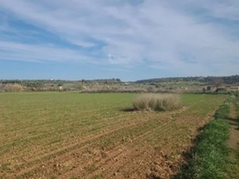 Plot — photo 1