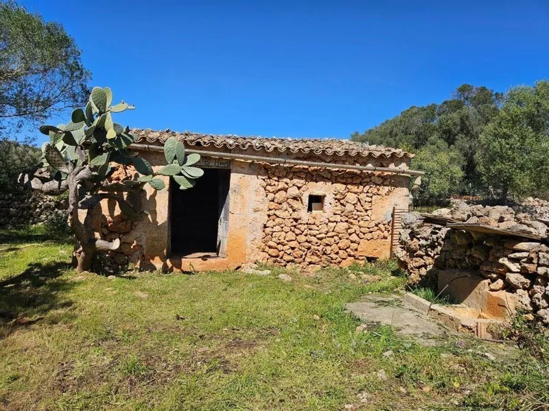 Urban plot of land - Costitx, plot surface 14898 m2, distance to the sea 20 km — photo 1