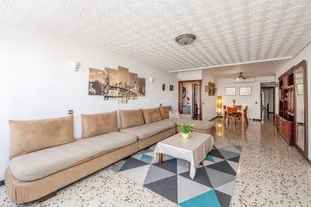 Apartment - Alcúdia (Ciutat d'Alcúdia) — photo 3