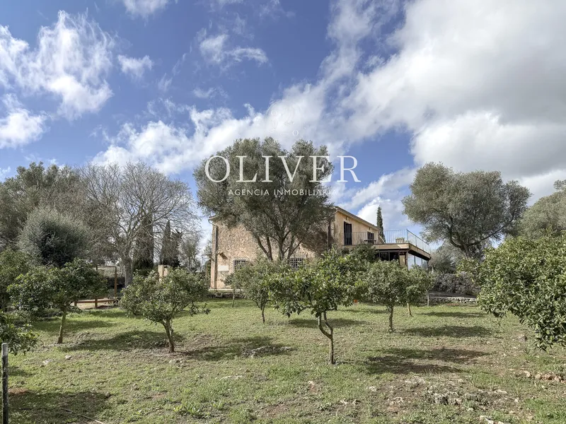 Rustic finca in Algaida — photo 4