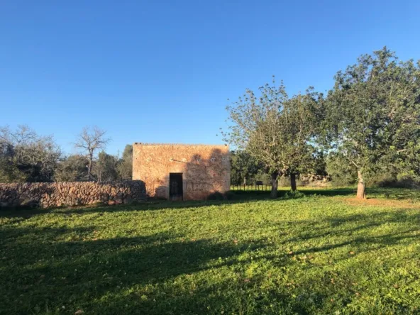 Rustic Fincas — photo 2
