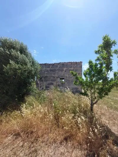 Rustic Land - Inca (Peri-urban Zone) — photo 9