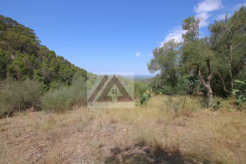 Luxury villa for sale in Felanitx — photo 10