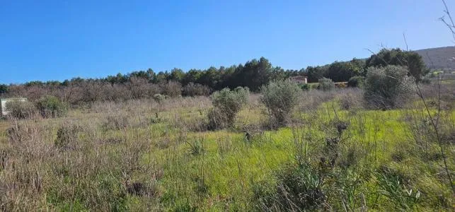 Rural Land - Santa Maria del Cami, Plot Surface 7076m² — photo 6
