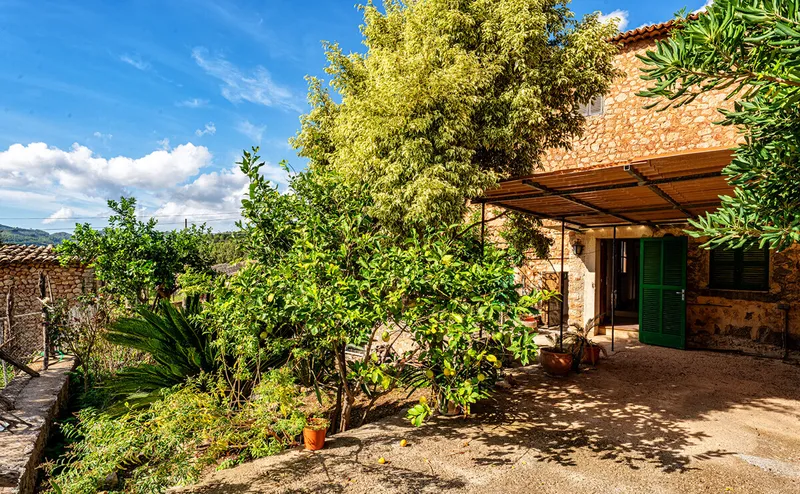 Country house with enormous potential — photo 4