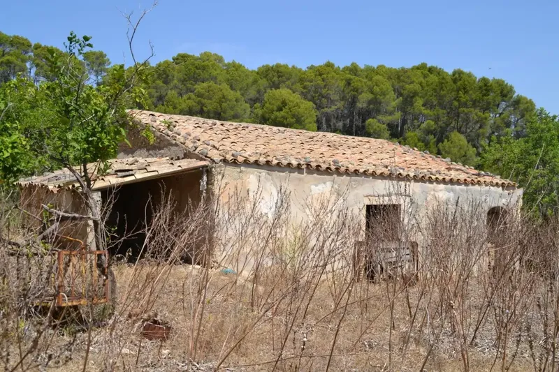 A step from the village we have this rustic estate of more than 14,000 m2, with an old construction of about 50 m2, there is the possibility of co — photo 11