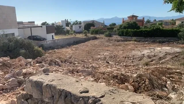 Plot of 1000m2 in Sa Torre, on the south of Mallorca — photo 7