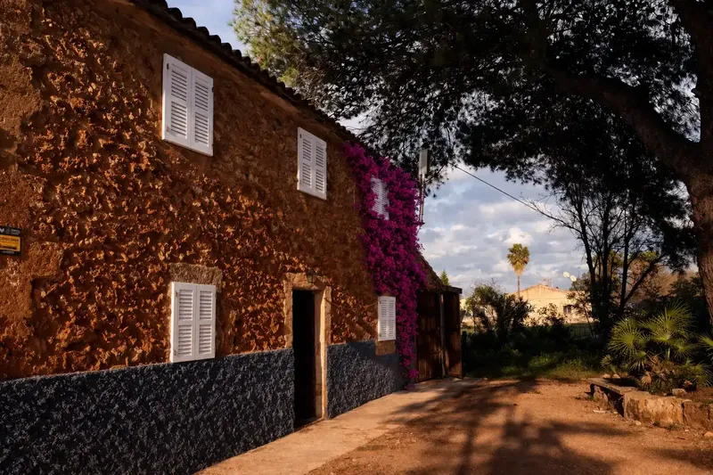 Habitación para uso individual en coliving en Palma, vivienda en plena naturaleza pero a la 15 minutos del centro, incluidas facturas: elect — photo 9