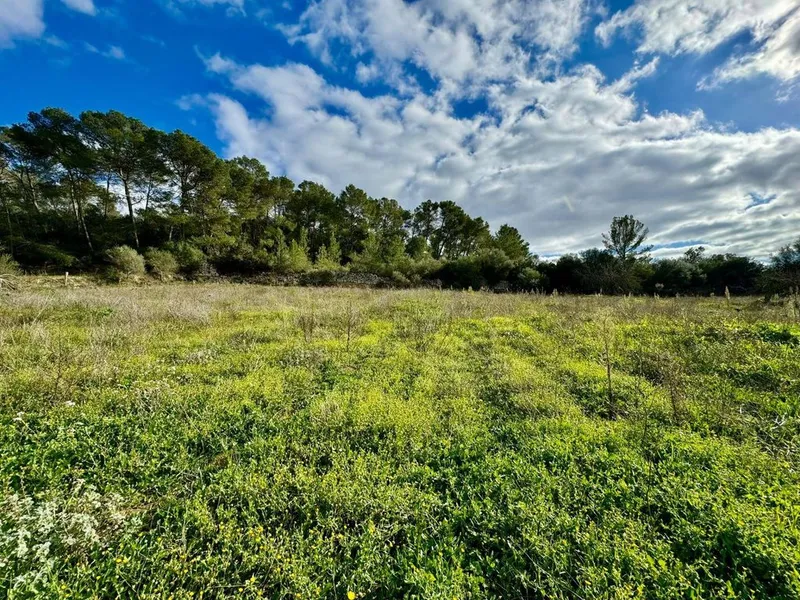 Land in Lloret de Vistalegre, Province of Balearic Islands — photo 11