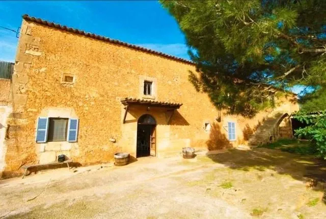 Large Mallorcan estate in Campos - 150,000 m² just 2 km from Es Trenc — photo 2