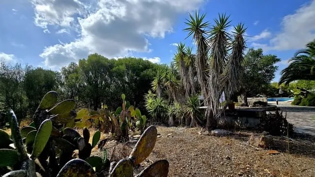 Finca/Country House for sale in Sant Llorenç des Cardassar, Mallorca — photo 3