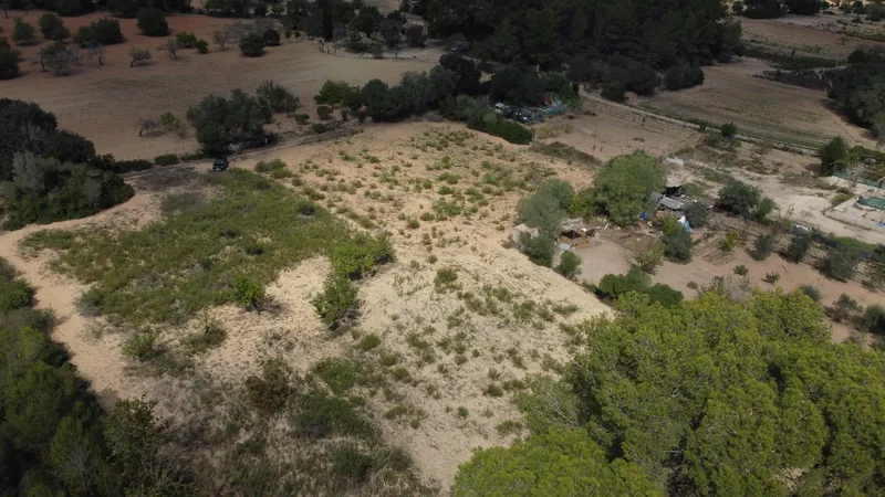Rustic plot of 2,752 m² with fruit trees and wooded area — photo 2