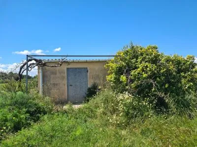 Country House - Manacor, Plot Surface 1650m² — photo 1
