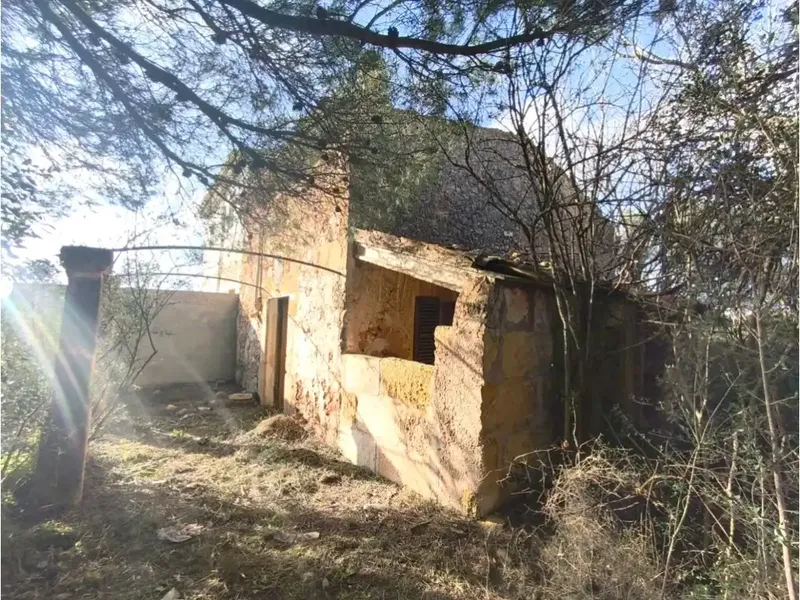 Rustic estate for sale on Camí de Sencelles, excellent location minutes from Inca center — photo 2