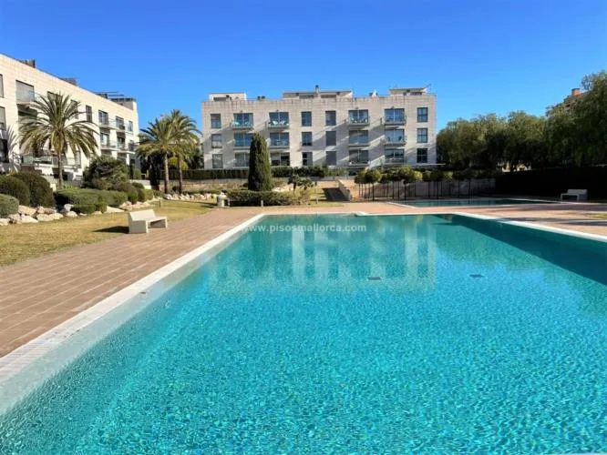Apartment in Palma de Mallorca, Schools Area — photo 3