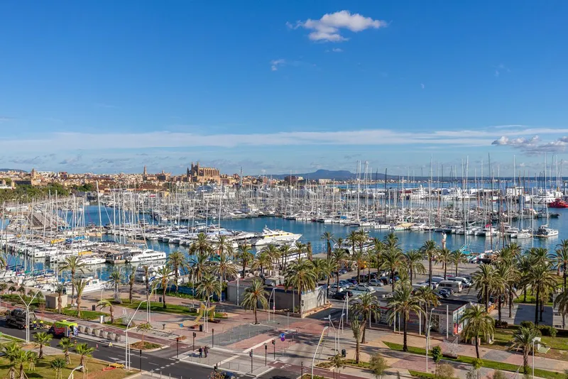 Penthouse in Palma - Exclusive New Build Penthouse in Central Location of Palma — photo 4