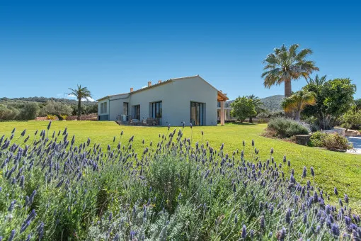 Colonia de San Pedro, Finca with sea views, pool and tennis court near Colònia de Sant Pere — photo 7