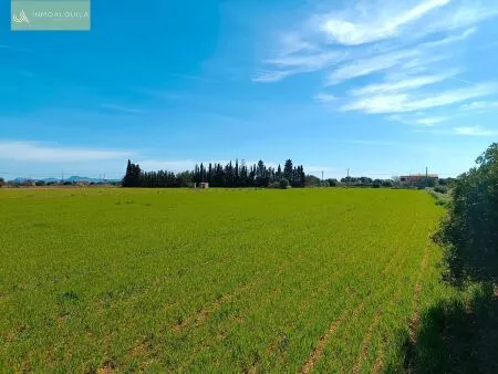 Rural Land - Sa Pobla (Pobla (Sa)), Built Surface 46m², Plot Surface 9574m² — photo 1