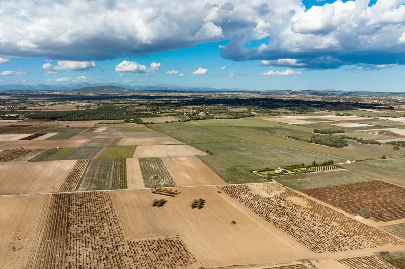 Mediterranean building plot with approved finca project and panoramic views near Manacor — photo 7