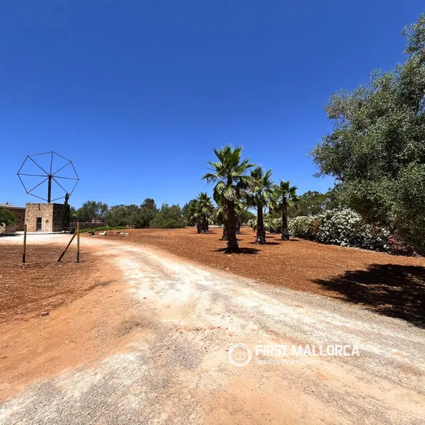 Finca/Country House for rent in Campos, Mallorca — photo 2