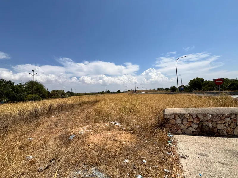 Buildable plot in Pla de na Tesa, Marratxí — photo 7