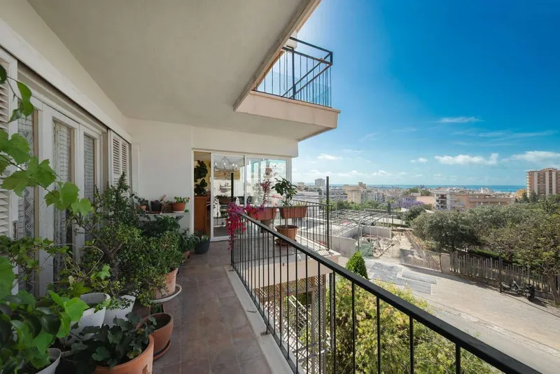 Apartment in Palma de Mallorca, Province of Balearic Islands — photo 2