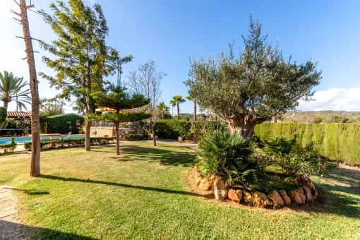 Llucmajor, Idyllic finca with great potential in Llucmajor — photo 3